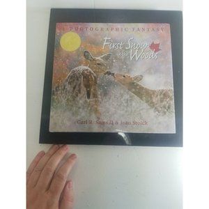 First Snow in the Woods: A Photographic Fantasy by Stoick, Jean